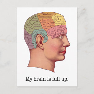 My Brain is Full Up Postcard