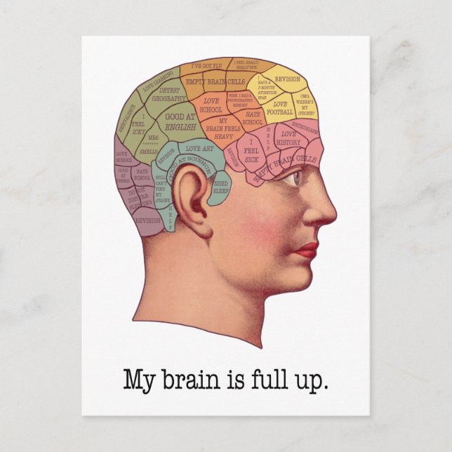 My Brain is Full Up Postcard (Front)