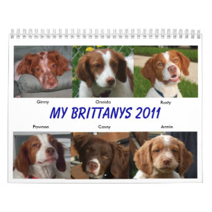 My Brittanys 2011 Calendar