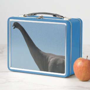 My Brontosaurs Dinosaur Metal Lunch Box