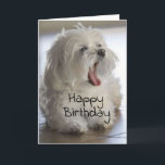 **MY BROTHER** HAPPY BIRTHDAY CARD<br><div class="desc">WHAT A CUTIE RIGHT? AND HOW GOOD WILL HE OR SHE FEEL WHEN YOUR **BROTHER**  GETS THIS ON HIS BIRTHDAY?   AND DON'T FORGET YOU CAN CHANGE THE VERSE,  AND,  THE FONT ON ALL MY CARDS. HAVE A HAPPY DAY AND THANK YOU FOR STOPPING BY 1 OF MY 8 STORES!</div>
