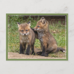 My Brother/Sister My Friend Postcard