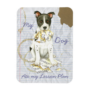 My Canaan Dog Ate My Lesson Plan Magnet