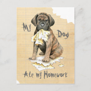 My Cane Corso Ate My Homework Postcard