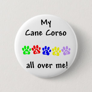 My Cane Corso Walks All over Me 2 Inch Round Button