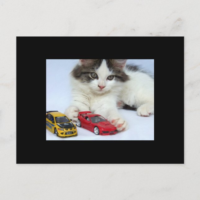 My Cars (cat) ACEO Art Trading Card (Front)