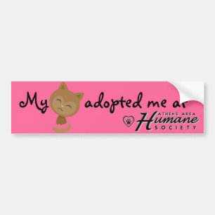 My cat adopted me bumper sticker