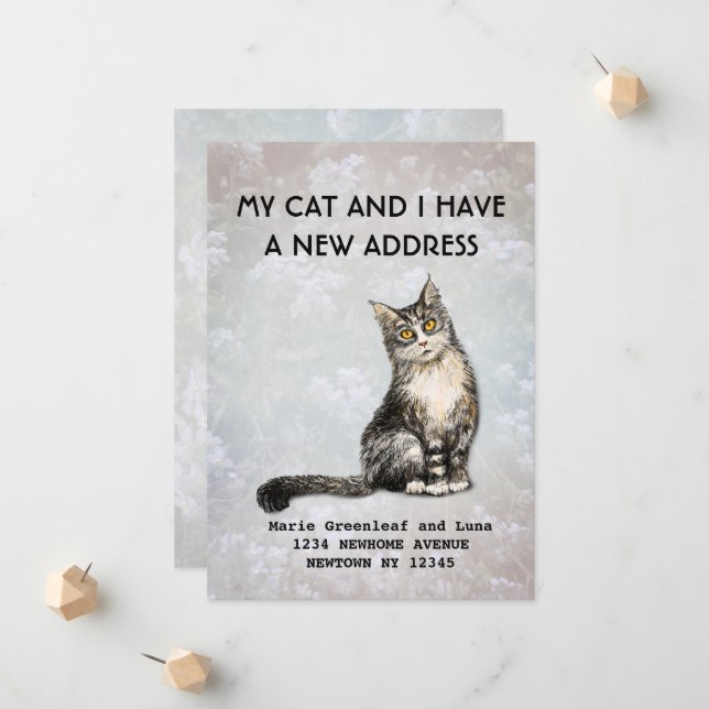 My cat and I have moved Announcement (Front/Back In Situ)