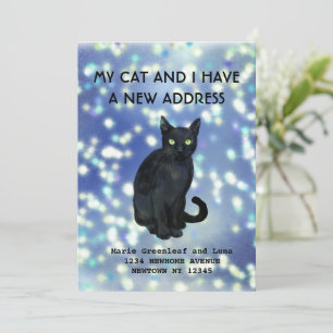 My cat and I have moved Announcement