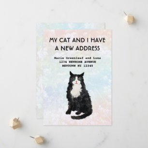 My cat and I have moved Announcement