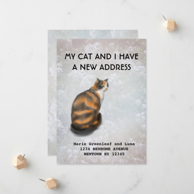 My cat and I have moved Announcement (Front/Back In Situ)