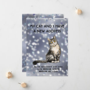 My cat and I have moved Announcement