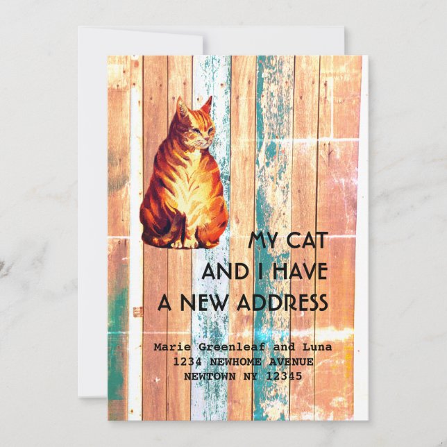 My cat and I have moved Announcement (Front)