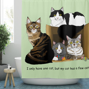 My cat has Cats