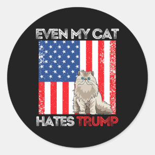 My Cat Hates Trump Against Trump American Flag Ret Classic Round Sticker