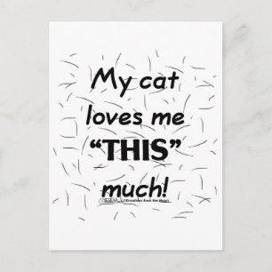 My Cat Loves Me This Much-Cat Hair Postcard