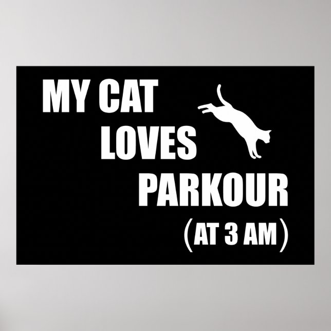 My Cat Loves Parkour (At 3 AM) Funny Cat Lover Poster (Front)