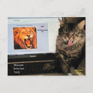 My Cat studies at MIT Mouser Internet Tech Postcard