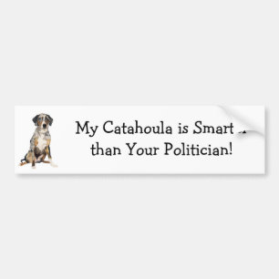 My Catahoula is Smarter Than your Politician Bumper Sticker