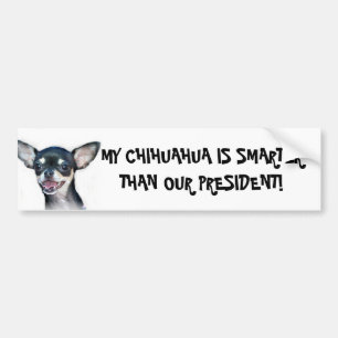 My Chihuahua is smarter bumper sticker