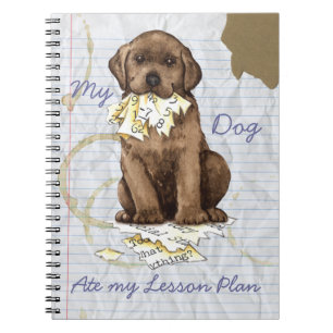 My Chocolate Lab Ate my Lesson Plan Notebook