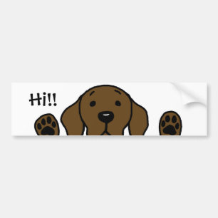 My Chocolate Lab "Hi!!" Bumper Sticker