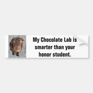 My Chocolate Lab's smarter than your honour Bumper Sticker