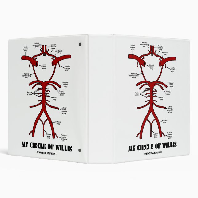 My Circle Of Willis Anatomical Blood Circulation Binder (Background)