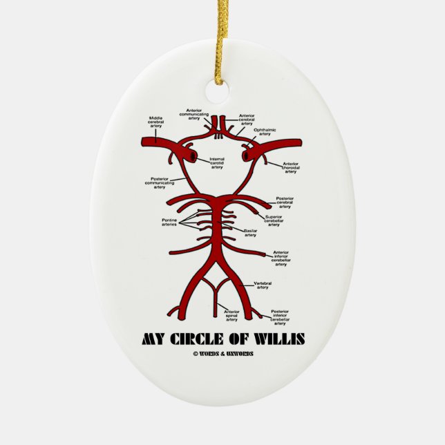My Circle Of Willis (Anatomical) Ceramic Ornament (Front)