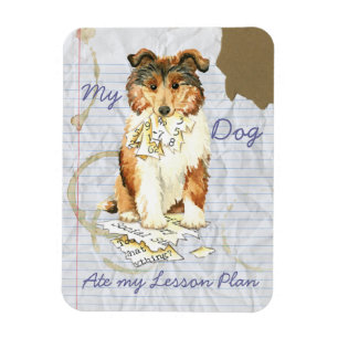 My Collie Ate My Lesson Plan Magnet