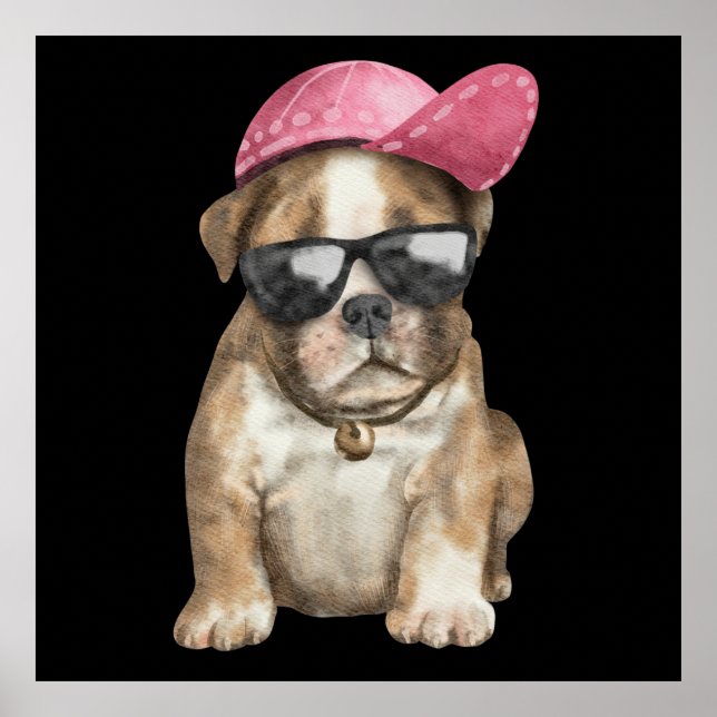 MY COOL PET  POSTER (Front)