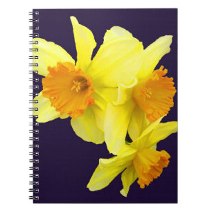 My Daffodil Notebook (add your name)