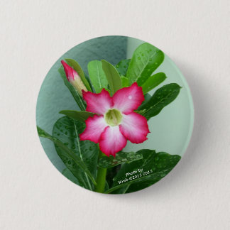My Desert Rose 2 Inch Round Button