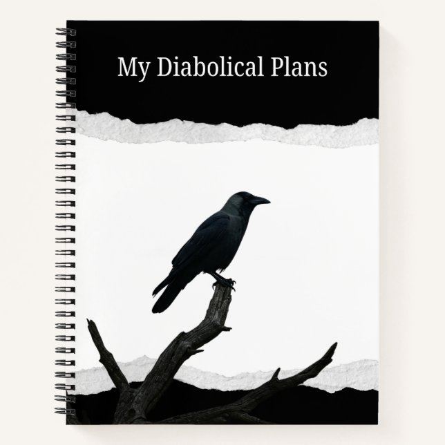 My Diabolical Plans  Notebook (Front)