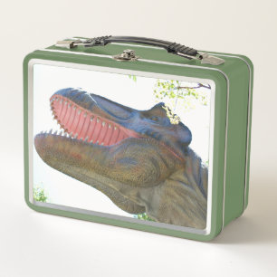 My Dinosaurs Metal Lunch Box