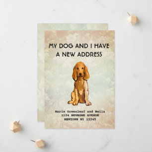 My dog and I have moved Announcement