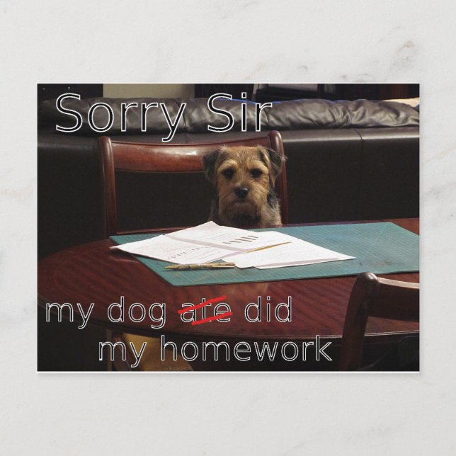 my dog ate my homework postcard (Front)