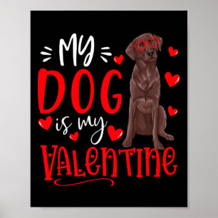 My Dog Is My Valentine Chocolate Labrador Valentin Poster