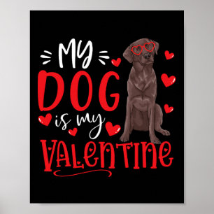 My Dog Is My Valentine Chocolate Labrador Valentin Poster