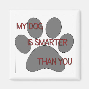 My Dog is Smarter Than You Magnet