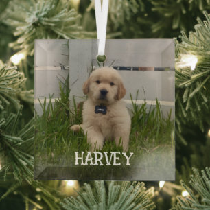 My Dog Photo Christmas Glass Ornament