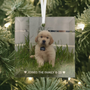 My Dog Photo Christmas Glass Ornament