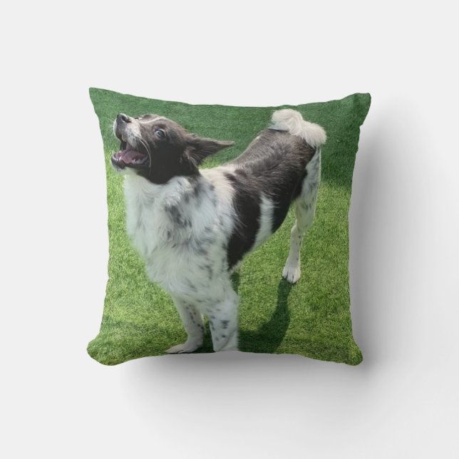 My dog throw pillow (Front)