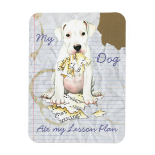 My Dogo Ate My Lesson Plan Magnet