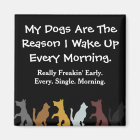 My Dogs Wake Me Up