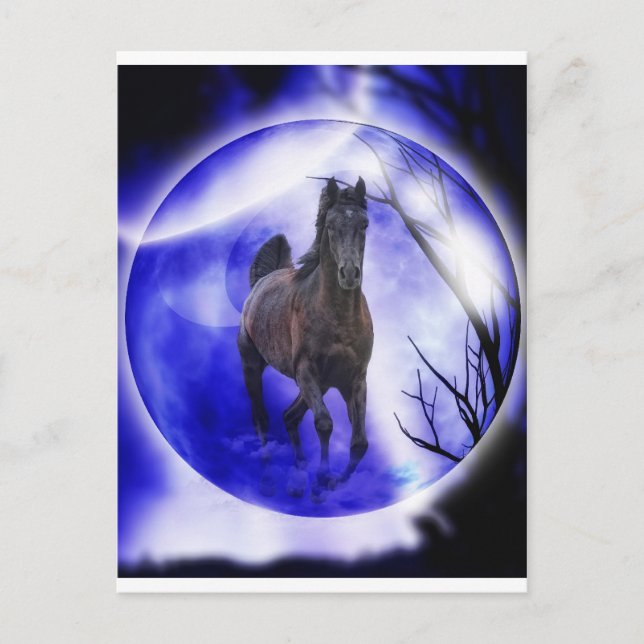 My dream postcard (Front)