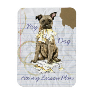 My Dutch Shepherd Ate my Lesson Plan Magnet