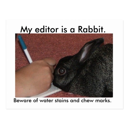 My editor is a Rabbit. Postcard