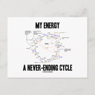 My Energy A Never-Ending Cycle (Krebs Cycle) Postcard