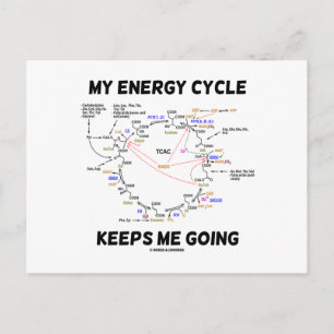 My Energy Cycle Keeps Me Going (Krebs Cycle) Postcard
